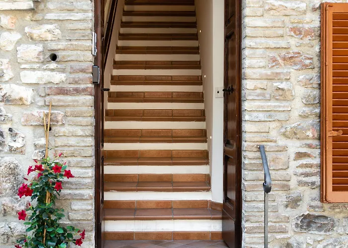 Panoramic 3* 아시시